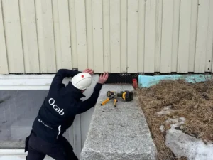 Ocab skadedyrhåndtering, utvendig.